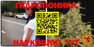 каннабис Будённовск