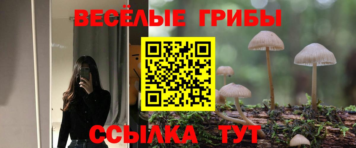 Махачкала  Псилоцибиновые грибы мухоморы  Вход с VPN 